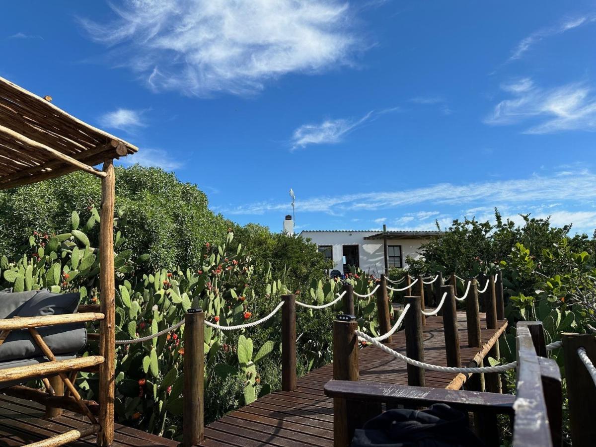 Ostrich Cottage At Les Wings Private Game Farm Groot-Jongensfontein 外观 照片