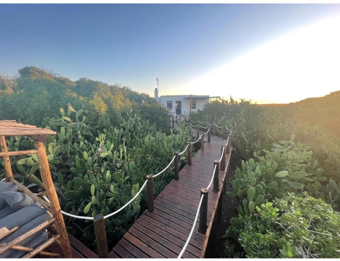 Ostrich Cottage At Les Wings Private Game Farm Groot-Jongensfontein 外观 照片
